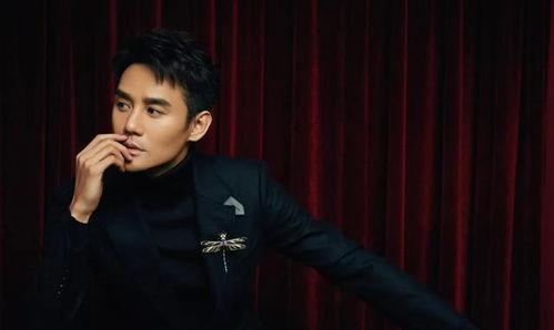 王凯最新爆料八卦,揭秘娱乐圈背后的惊人真相!